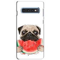 Чехол (ТПУ) Милые собачки для Samsung Galaxy S10e (Смешной Мопс)