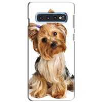 Чохол (ТПУ) Милі песики для Samsung Galaxy S10e – Пес Терьєр