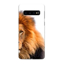 Чехлы с картинками животных Samsung Galaxy s10 Plus (Лев грива)