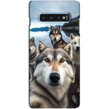 Чехол с Хаски для Samsung s10 Plus - (AlphaPrint) (Селфи ХАски)