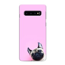 Чохли з собаками для Samsung Galaxy s10 Plus (VPrint) (Смішна собака)