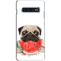 Чехол (ТПУ) Милые собачки для Samsung s10 Plus – Смешной Мопс