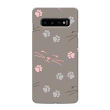 Чехол с рисунком кот на Samsung Galaxy s10 Plus – Лапы и усы