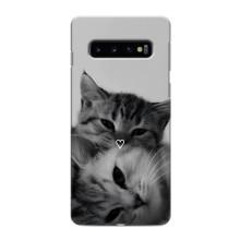 Чехол с рисунком кот на Samsung Galaxy s10 Plus – Пара котов
