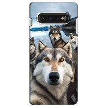 Чохол з Хаскі Samsung S10 - (AlphaPrint) (Селфі Хаскі)