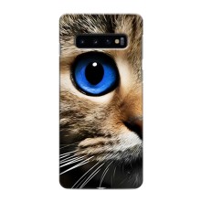 Чехлы с Котиками для Samsung Galaxy S10 (VPrint) (Глаз кота)