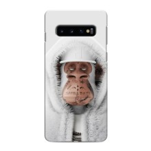 Чохли з Мавпами NFT для Samsung Galaxy S10 (AlphaPrint) (мавпа NFT в тату)