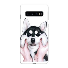 Чохли з собаками для Samsung Galaxy S10 (VPrint) (Радісний Хаскі)