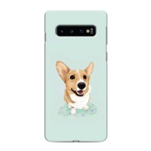 Чохли з собаками для Samsung Galaxy S10 (VPrint) (Коргі)
