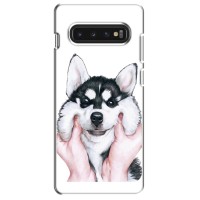 Бампер для Samsung S10 с картинкой "Песики" – Собака Хаски