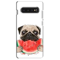 Чехол (ТПУ) Милые собачки для Samsung S10 – Смешной Мопс