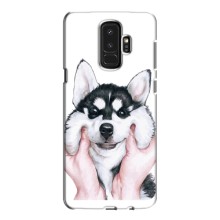 Чехол с Хаски для Samsung S9 Plus G965 - (AlphaPrint) (Хаски улыбака)