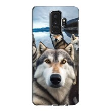 Чехол с Хаски для Samsung S9 Plus G965 - (AlphaPrint) (Селфи ХАски)