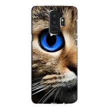 Чехлы с Котиками для Samsung Galaxy S9 Plus G965 (VPrint) (Глаз кота)