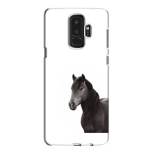 Чехлы с Лошадью дляSamsung Galaxy S9 Plus G965 (VPrint) (Чорний кінь)