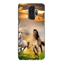 Чехлы с Лошадью дляSamsung Galaxy S9 Plus G965 (VPrint) (Лошадки)