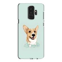 Чехлы с собаками для Samsung Galaxy S9 Plus G965 (VPrint) – Корги