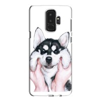 Бампер для Samsung S9 Plus G965 с картинкой "Песики" – Собака Хаски