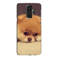 Чехол (ТПУ) Милые собачки для Samsung S9 Plus G965 (Померанский шпиц)