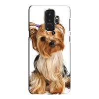 Чехол (ТПУ) Милые собачки для Samsung S9 Plus G965 (Собака Терьер)