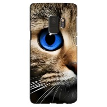 Чехлы с Котиками для Samsung Galaxy S9, G960 (VPrint) (Глаз кота)