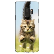 Чехлы с Котиками для Samsung Galaxy S9, G960 (VPrint) (Прыжок кота)