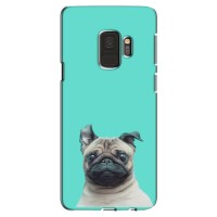 Бампер для Samsung S9, G960 с картинкой "Песики" – Собака Мопс