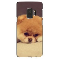 Чехол (ТПУ) Милые собачки для Samsung S9, G960 (Померанский шпиц)