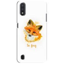 Чехлы с картинкой Лисички для Sansung Galaxy M01 Core (A013F) (VPrint) (Девочка Лиса)