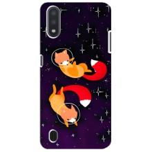 Чехлы с картинкой Лисички для Sansung Galaxy M01 Core (A013F) (VPrint) (Лисички космонавты)