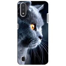 Чехлы с Котиками для Sansung Galaxy M01 Core (A013F) (VPrint) (Серый Кот)