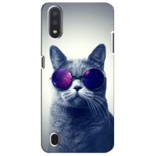 Чехол с принтом для Sansung Galaxy M01 Core (A013F) (AlphaPrint) Модные коты (Стильный кот)