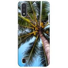 Силиконовый чехол с КАРТИНКАМИ лето для Sansung Galaxy M01 Core (A013F) (AlphaPrint) (Пальма)