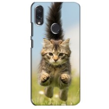 Чохли з Котиками для Sansung Galaxy M10s (VPrint) (Прижок кота)