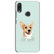 Чехлы с собаками для Sansung Galaxy M10s (VPrint) (Корги)