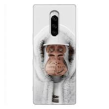 Чехлы с Обезьянами NFT для Sony Xperia 1 (AlphaPrint) (обезьяна NFT в тату)