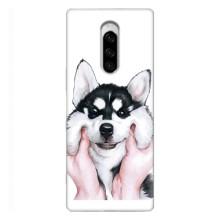Чехлы с собаками для Sony Xperia 1 (VPrint) (Довольный Хаски)