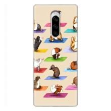 Чехол с Прикольным принтом на Sony Xperia 1 – Ёга свинок