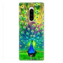 Чехол с птицами на Sony Xperia 1 (VPrint) (Яркий Павлин)
