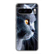 Чехлы с Котиками для Sony Xperia 10 VII (VPrint) (Серый Кот)