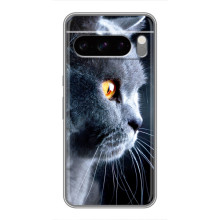 Чохол із милими котиками на Соні Xперія 10 VII – Британський кіт