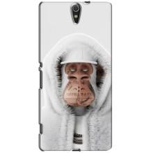 Чохли з Мавпами NFT для Sony Xperia C5 Ultra, E5533, E5563, E5506, E5553 (AlphaPrint)