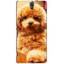 Чохли з собаками для Sony Xperia C5 Ultra, E5533, E5563, E5506, E5553 (VPrint)