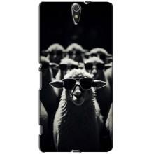 Чехол с принтом стильные животные для Сони Эксперия С5 Ультра – Овечка в очках