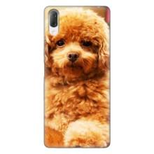 Чохли з собаками для Sony Xperia L3 (VPrint)