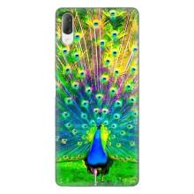 Чехол с птицами на Sony Xperia L3 (VPrint) (Яркий Павлин)