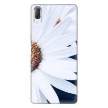 Чехол с ромашками на Sony Xperia L3 – Пол ромашки