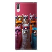 Чехол с принтом стильные животные для Сони Хпериа Л3 – Ламы в очках