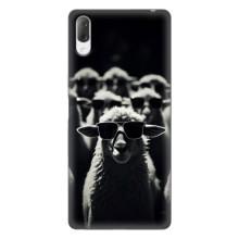 Чехол с принтом стильные животные для Сони Хпериа Л3 – Овечка в очках