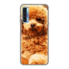 Чехлы с собаками для TCL 20L (VPrint) (Щенок Бишон)